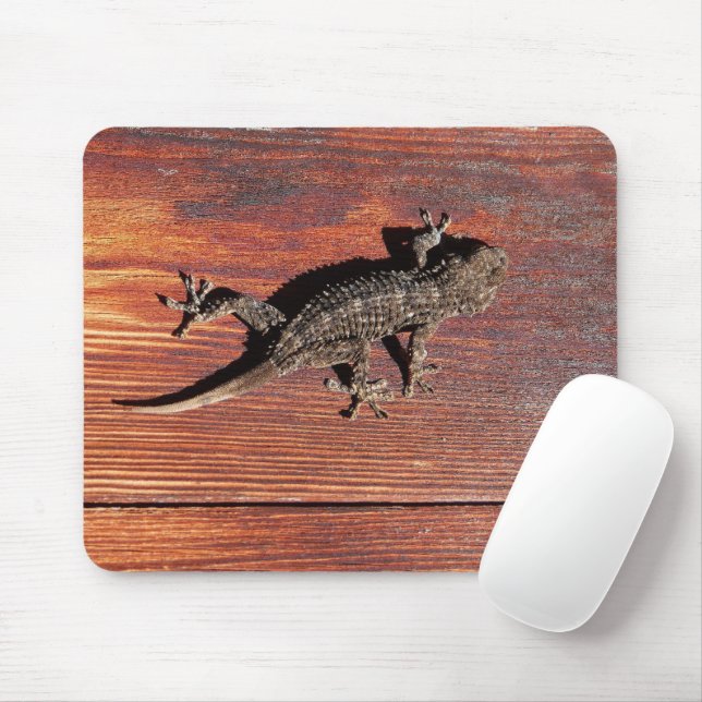 Lizard Mouse Pad (With Mouse)