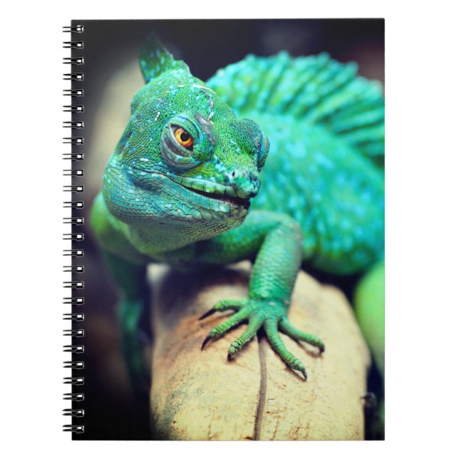 Lizard Notebook (Front)