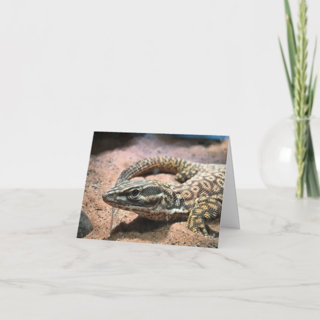lizard notecard (message inside) (Front)