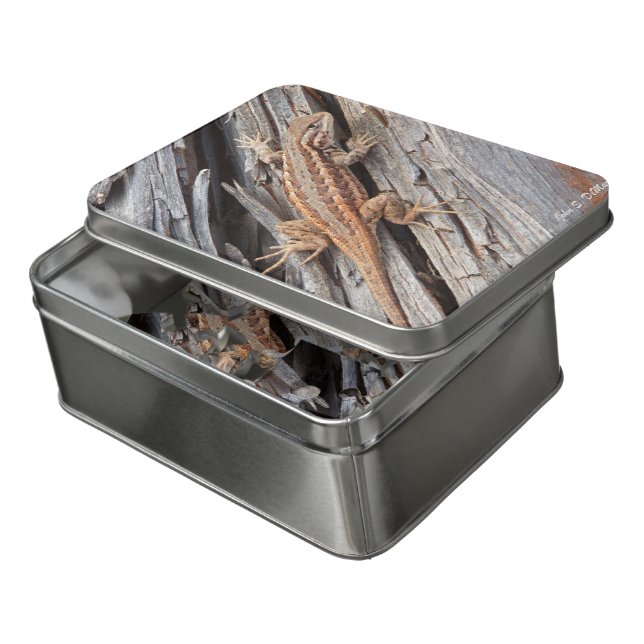 Lizard On a Log Jigsaw Puzzle (Lid Open)