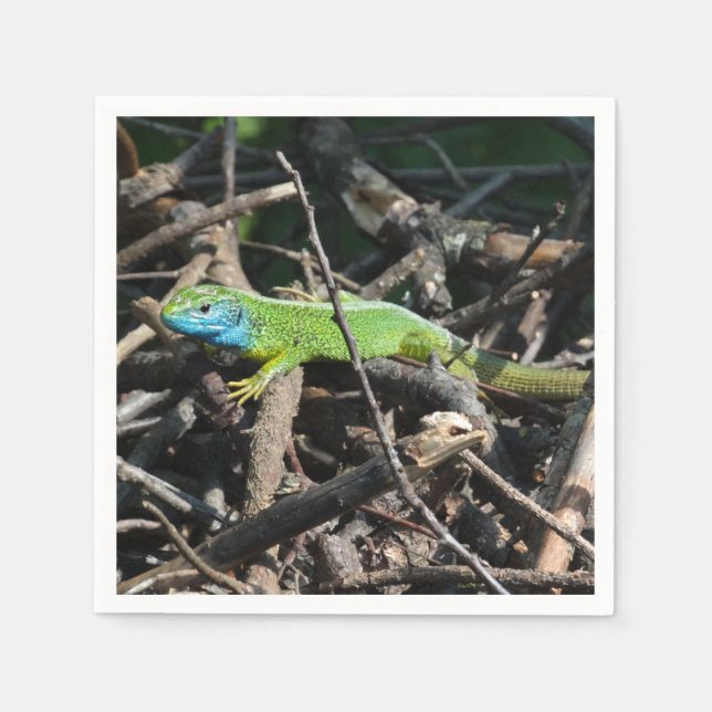 Lizard Photo Cocktail Paper Napkins (Front)