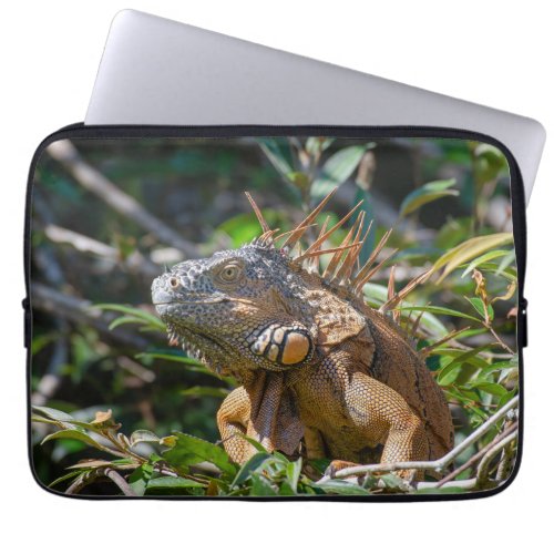 Lizard Photography Orange Iguana Laptop Sleeve