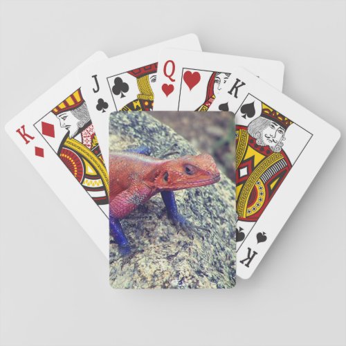 Lizard Playing Cards