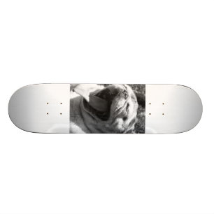 Lizard Pug Skateboard Deck