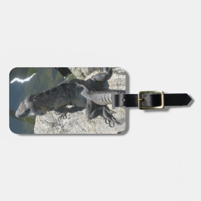 Lizard Rock Luggage Tag (Front Horizontal)