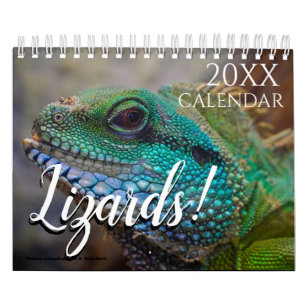 Lizard Themed 2024 Wall Calendar Gift