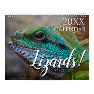 Lizard Themed 2026 Wall Calendar Gift
