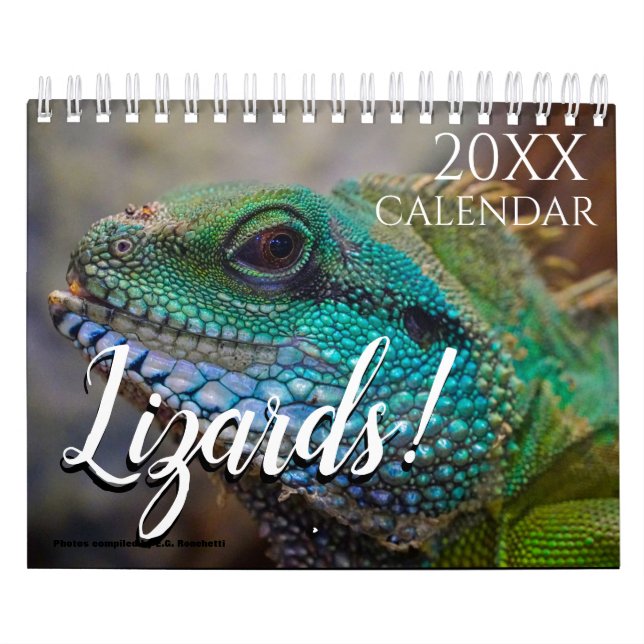 Lizard Themed 2026 Wall Calendar Gift (Cover)