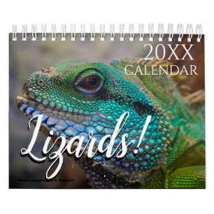 Lizard Themed 2026 Wall Calendar Gift