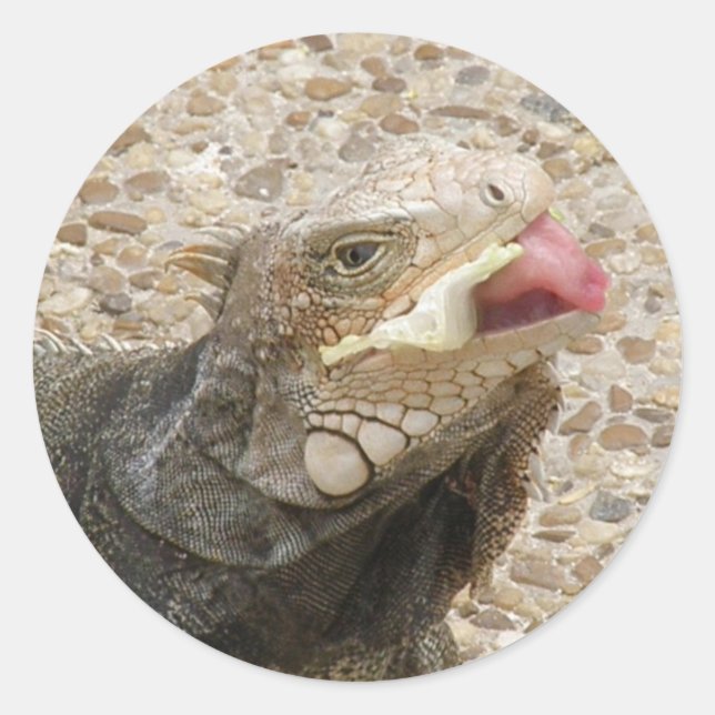 Lizard Tongue Sticker (Front)