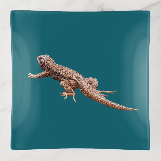 Lizard Trinket Tray (Front)