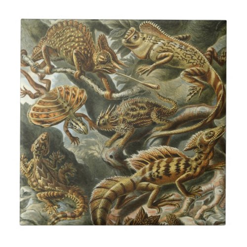 Lizards by Ernst Haeckel Vintage Lacertilia Animal Ceramic Tile