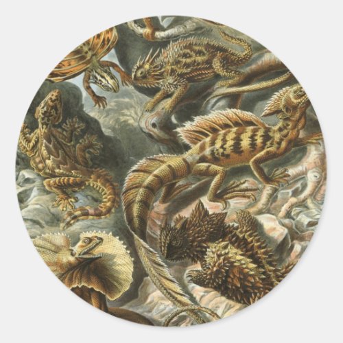 Lizards by Ernst Haeckel Vintage Lacertilia Animal Classic Round Sticker