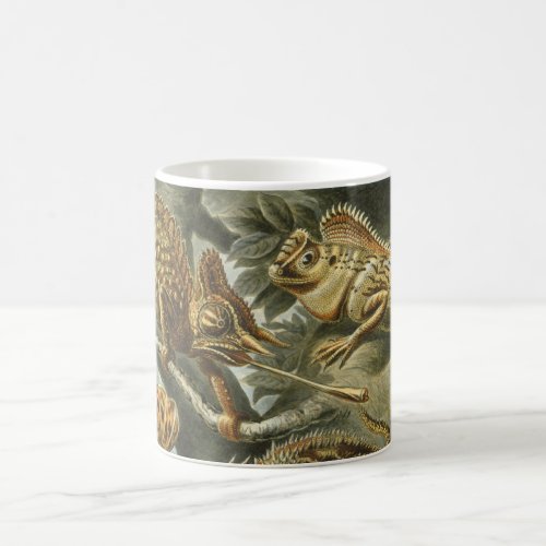 Lizards by Ernst Haeckel Vintage Lacertilia Animal Coffee Mug