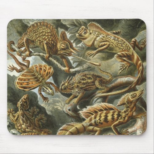 Lizards by Ernst Haeckel Vintage Lacertilia Animal Mouse Pad