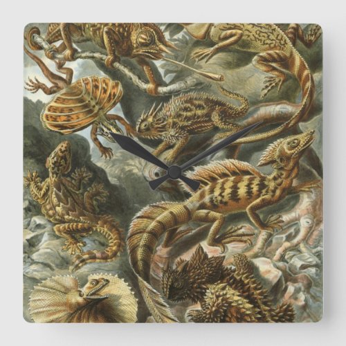 Lizards by Ernst Haeckel Vintage Lacertilia Animal Square Wall Clock