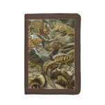 Lizards By Ernst Haeckel Vintage Lacertilia Animal Tri-fold Wallet at Zazzle