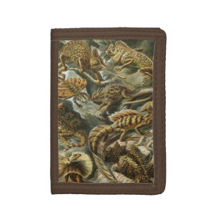 Lizards by Ernst Haeckel Vintage Lacertilia Animal Tri-fold Wallet