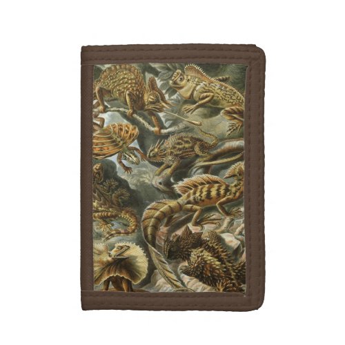 Lizards by Ernst Haeckel Vintage Lacertilia Animal Tri_fold Wallet