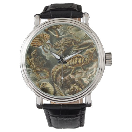 Lizards by Ernst Haeckel Vintage Lacertilia Animal Watch