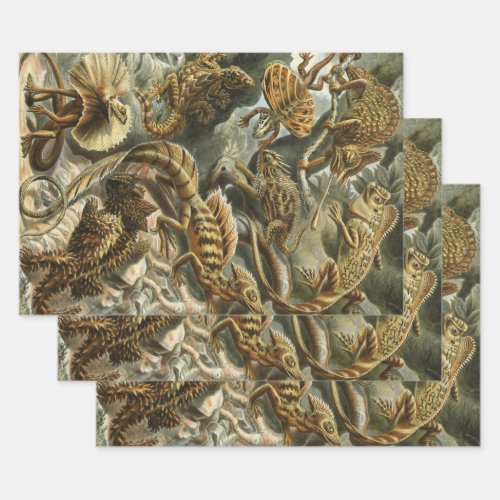 Lizards by Ernst Haeckel Vintage Lacertilia Animal Wrapping Paper Sheets