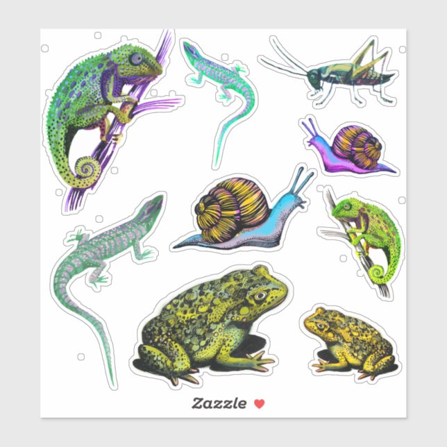 Lizards, frogs, chameleon, snails sticker (Sheet)