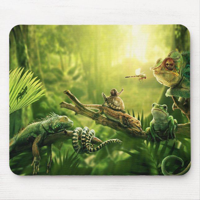 Lizards Frogs Jungle Reptiles Landscape Mouse Pad (Front)