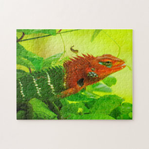 Lizards of Sri Lanka. Jigsaw Puzzle