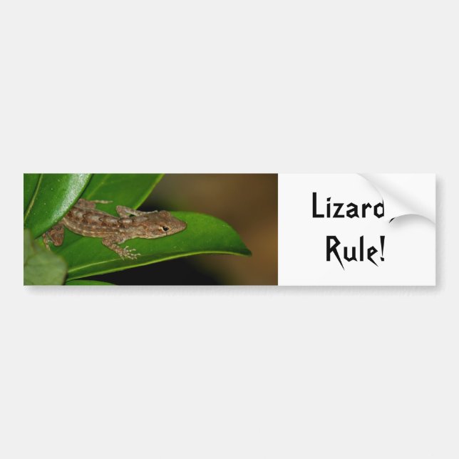 Lizards Rule Bumper Sticker (Front)