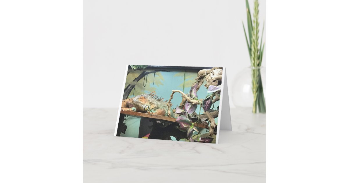 Lizard Counting Card LIZARDS SAY *COUNT ME IN* ON CELEBRATING BIRTHDAY CARD | Zazzle