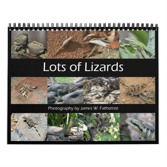 Lizards Wall Calendar by J.W. Fatherree. (Cover)