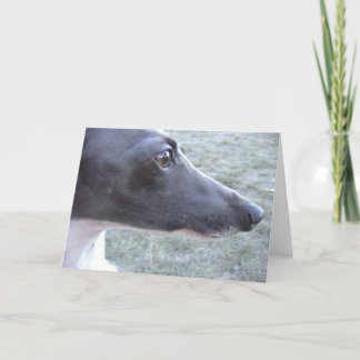 Lizzie's Close-up Card