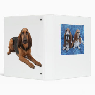 Lizzy Darcy 3 Ring Binder