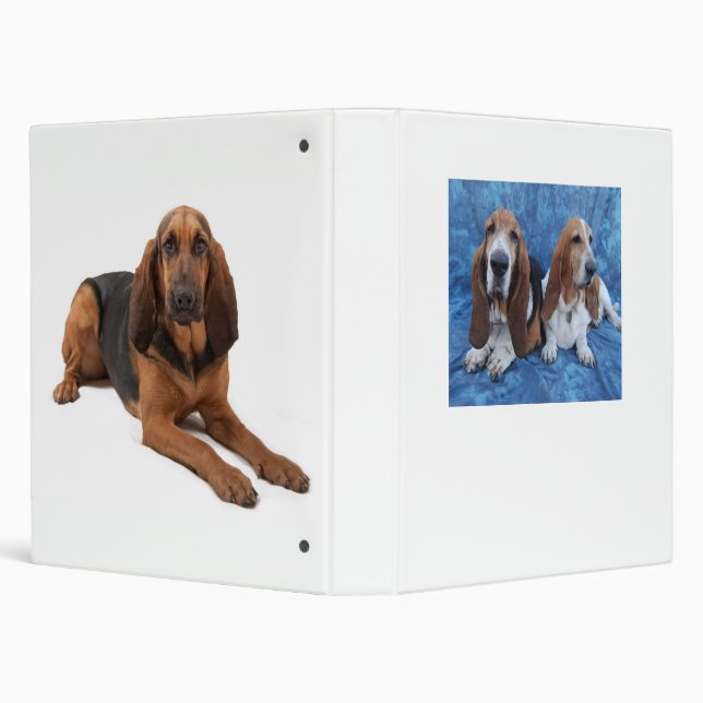 Lizzy Darcy 3 Ring Binder (Background)