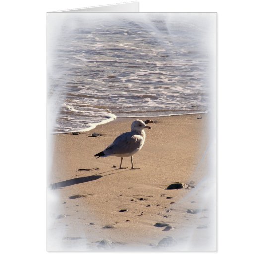 Lkes Long Walks on the Beach... Cards (Front)
