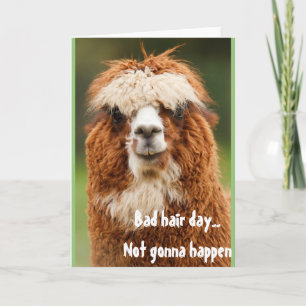 Llama Alpaca Funny Hair Day Greeting Card