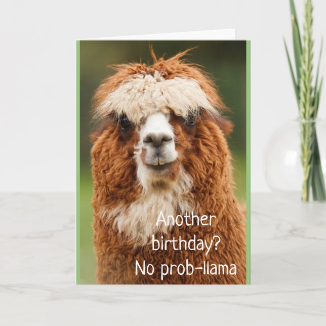 Llama Alpaca No Prob-llama Birthday Card (Front)