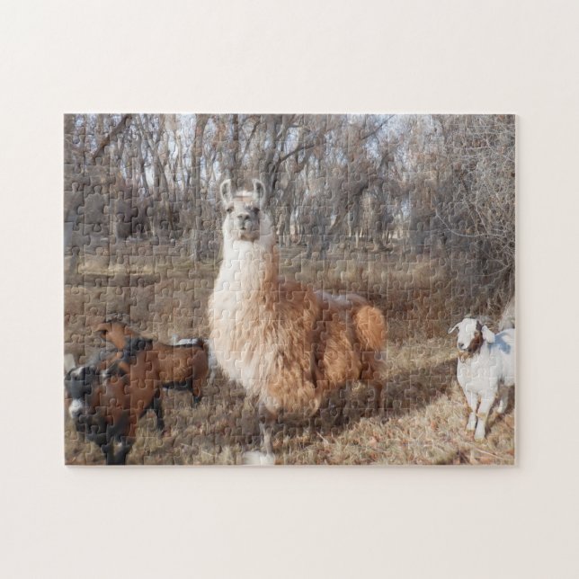 Llama and Goats Jigsaw Puzzle (Horizontal)