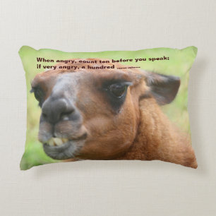 Llama Anger Quote Inspirational  Accent Pillow
