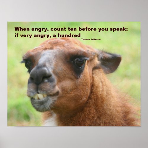 Llama Anger Quote Inspirational Poster