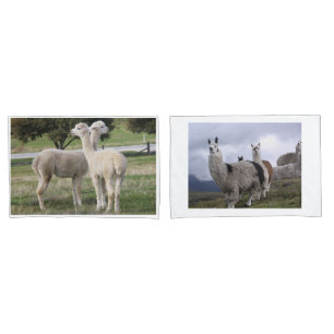 Llama Animal Custom Destiny'S Destiny Pillow Case