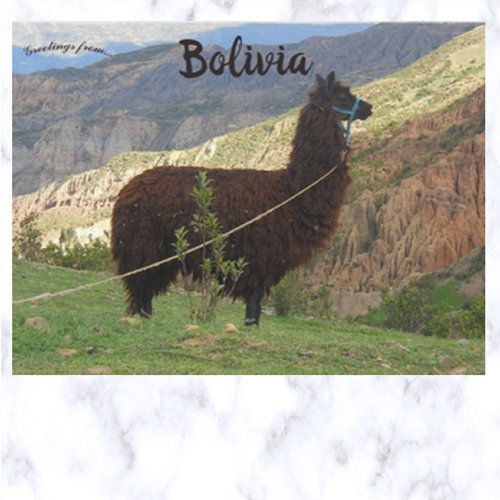 Llama at the Valley of the Souls Bolivia Postcard