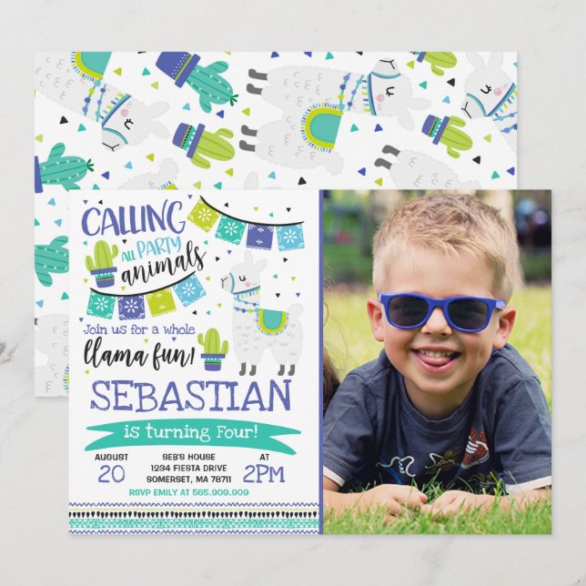 Llama Birthday Invitation Whole Llama Fun Party (Front/Back)