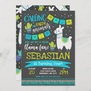 Llama Birthday Invitation Whole Llama Fun Party