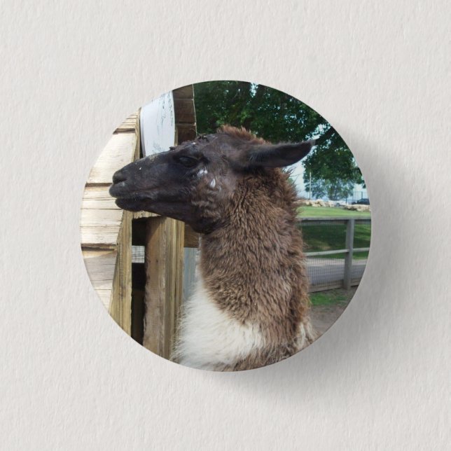 Llama Button (Front)