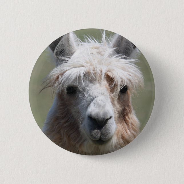 Llama Button (Front)