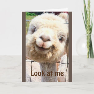 LLAMA CAN'T BELIEVE IT!!! YOU CAN'T BE "40" CARD