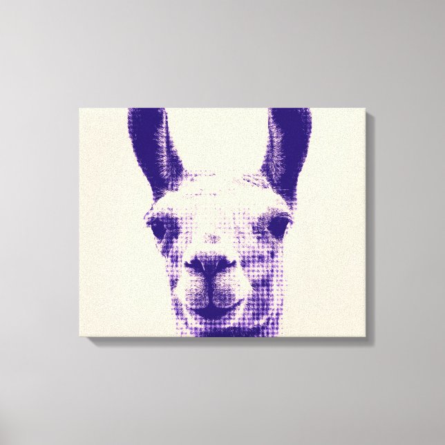 Llama Canvas Print (Front)