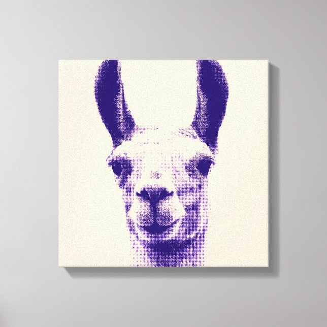Llama Canvas Print (Front)