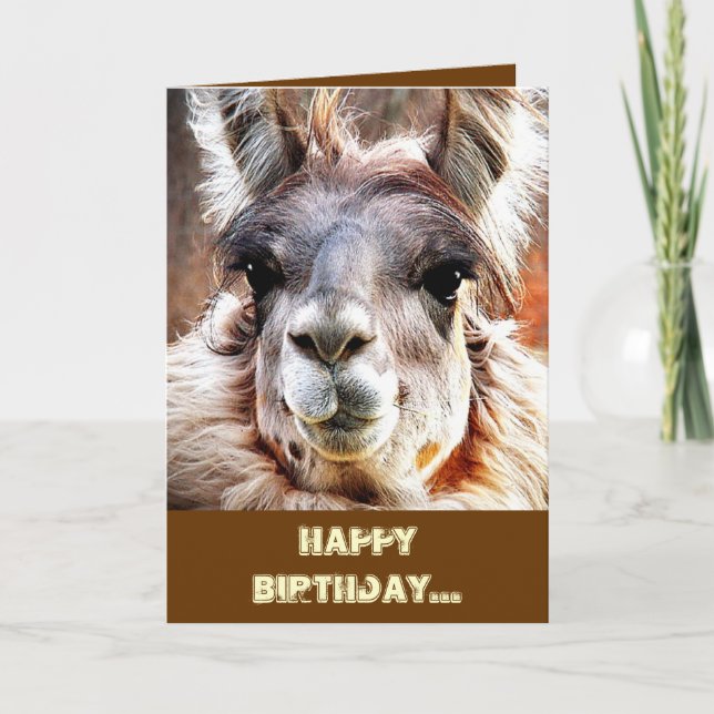 Llama Card (Front)